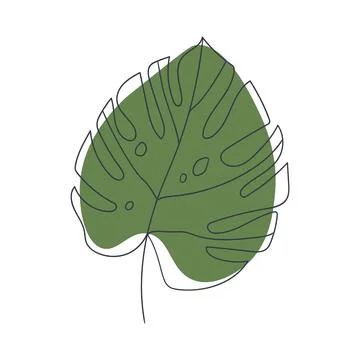 Monstera leaf line art Stock-Illustration