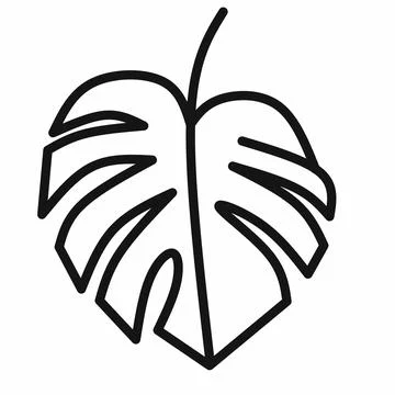 Monstera leaf line art vector illustration Stock Illustration