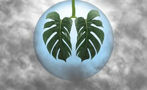 Monstera leaf as lungs shape in blue ball,surrounded by gray smoke,CO2.Smoking Stock Photos