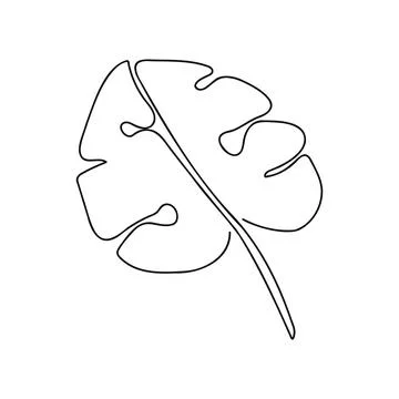 Monstera Leaf One Continuous Line Art Vector Illustration Stock Illustration