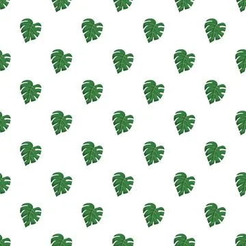 Monstera leaf pattern creating a seamless tropical background 스톡 일러스트