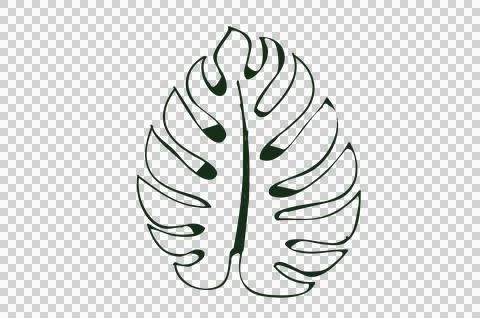 Monstera leaf pattern isolate on transparent background PNG file Stock Illustration