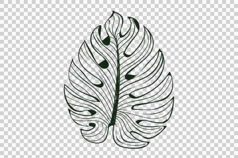 Monstera leaf pattern isolate on transparent background PNG file Stock Illustration