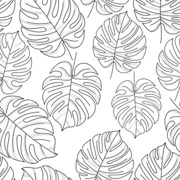Monstera leaf pattern. Minimalism style. Vector illustration Stock Illustration