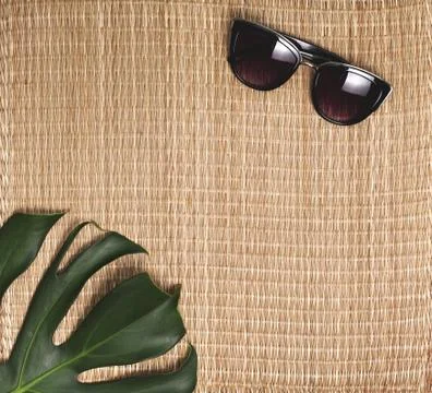 Monstera leaf Stock Photos