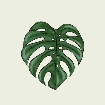 Monstera leaf plant isolated Stock Illustration