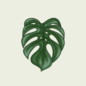 Monstera leaf plant isolated Stock Illustration