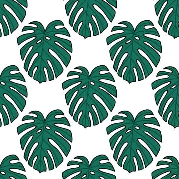 Monstera leaf seamless doodle pattern, vector hand draw illustration Illustrazione stock