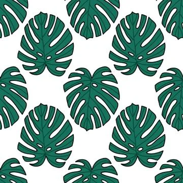 Monstera leaf seamless doodle pattern, vector hand draw illustration Stock Illustration