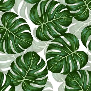 Monstera leaf seamless pattern. Colorful vivid print with beautiful palm jungle Stock Illustration