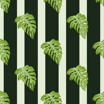 Monstera leaf seamless pattern with hand drawn tropical print. Modern nature  Stock Illustration