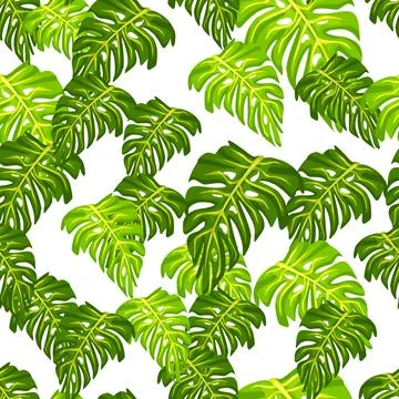 Monstera leaf seamless pattern with hand drawn tropical print. Modern nature  Stock Illustration