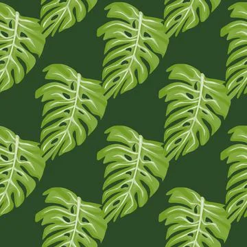 Monstera leaf seamless pattern with hand drawn tropical print. Modern nature  Stock Illustration