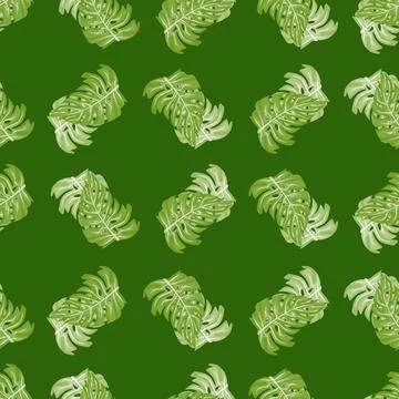 Monstera leaf seamless pattern with hand drawn tropical print. Modern nature  Illustrazione stock