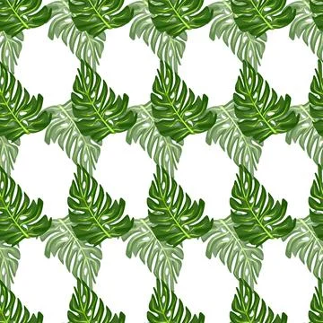 Monstera leaf seamless pattern with hand drawn tropical print. Modern nature  Stock Illustration