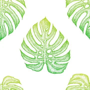 Monstera Leaf Seamless Pattern Stock Illustration