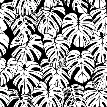 Monstera Leaf Seamless Pattern Stock Illustration