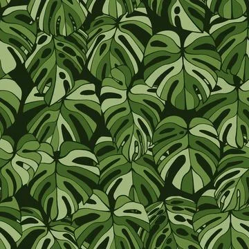 Monstera Leaf Seamless Pattern Stock Illustration