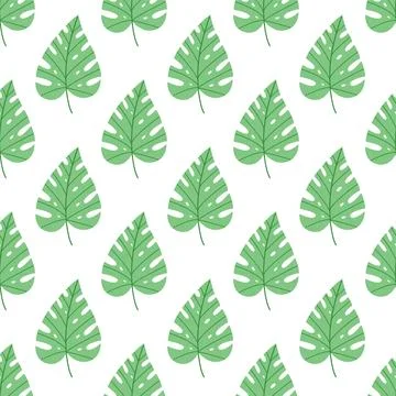 Monstera leaf seamless pattern vector flat botanical background summer textile Stock Illustration