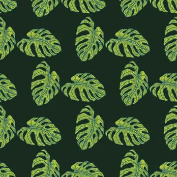 Monstera leaf seamless pattern.Vintage tropical branch in engraving style. イラスト素材
