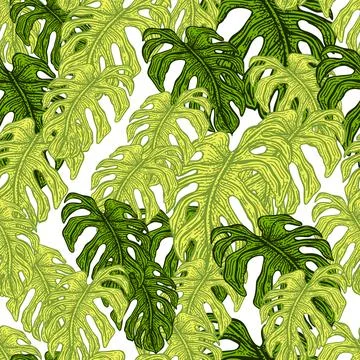 Monstera leaf seamless pattern.Vintage tropical branch in engraving style. Stock Illustration