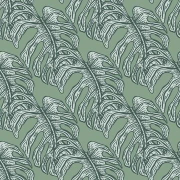 Monstera leaf seamless pattern.Vintage tropical branch in engraving style. イラスト素材