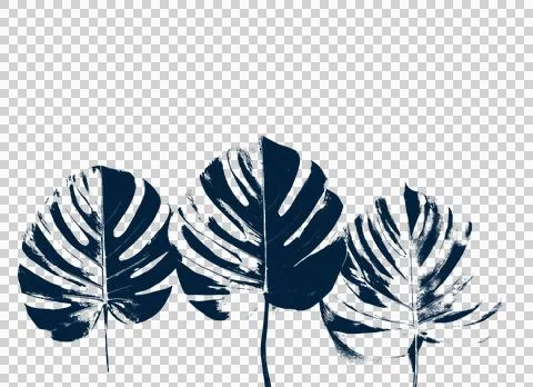 Monstera leaf shadow overlay for creative design and tropical aesthetic . Ilustração Stock