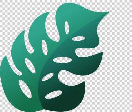 Monstera leaf is showing flat gradient design with split-leaf cut-outs on Stock Illustration