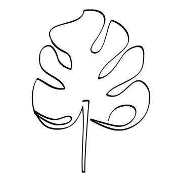 Monstera leaf in simple sketch vector single or continuous line art 스톡 일러스트
