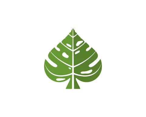 Monstera leaf with spade shape logo Stock Illustration