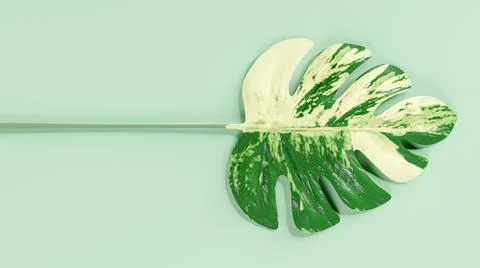 Monstera leaf spotted pattern. Stock Illustration