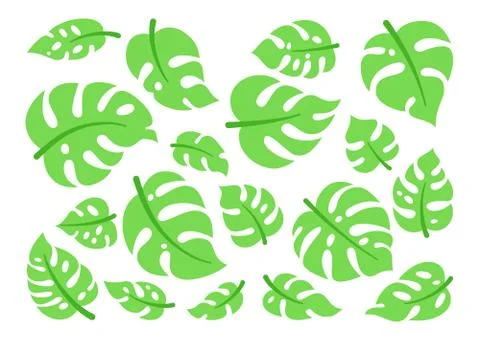 Monstera leaf tropical set flat plant vector Stock Illustration