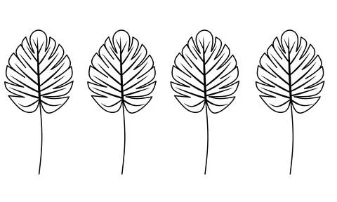 Monstera Leaf Vector Icon Image Stock Illustration