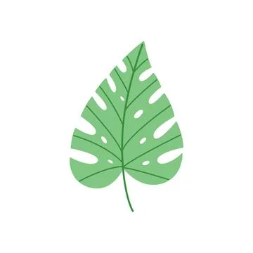 Monstera Leaf Vector Illustration Tropical Green Botanical Design Stock Illustration