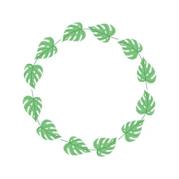 Monstera leaf wreath frame isolated on white, botanical circle border for 스톡 일러스트