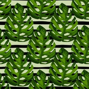 Monstera leafs seamless pattern. Botanic hand draw green elements on white ba Stockillustratie