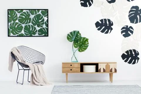 Monstera leaves in flat interior Stock-Fotos