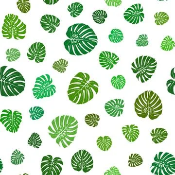 Monstera Leaves Pattern Stock Illustration
