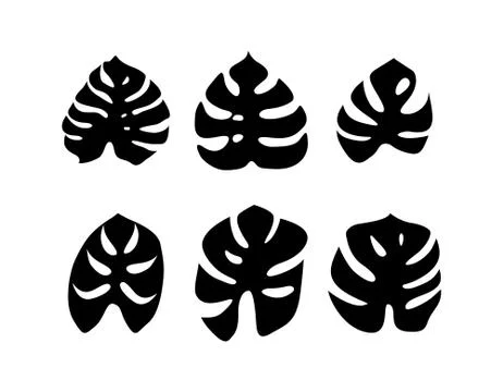 Monstera leaves set Stock Illustration