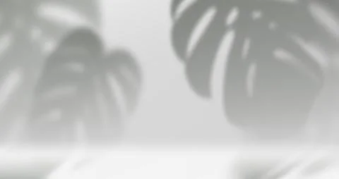 Monstera leaves shadow on white wall Stock Illustration