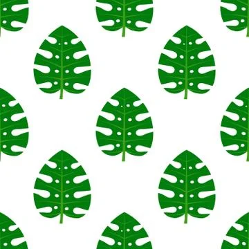 Monstera Philodendron leaf pattern. Tropical plant background Stock Illustration