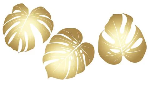 Monstera plant leaf from tropics. Vector greeting cards flyers invitations Stock Illustration