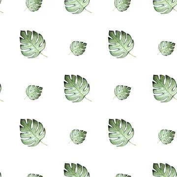 Monstera plant pattern Stock Illustration