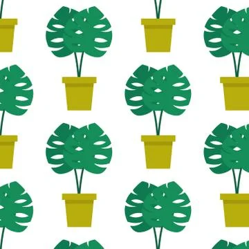 Monstera plant seamless pattern, vector color illustration Stock Illustration