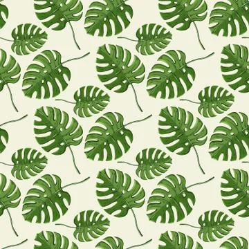 Monstera plant seamless pattern on a white background. Stock Illustration