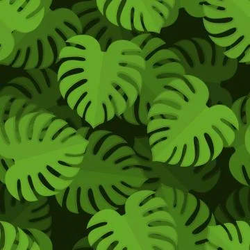 Monstera seamless pattern. Tropical leaves background. Palm texture. Vector o Illustrazione stock