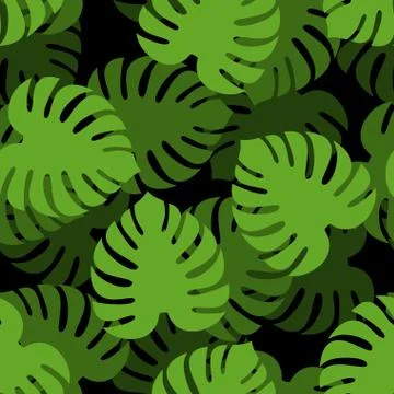 Monstera seamless pattern. Tropical leaves background. Palm texture. Vector o Stock Illustration