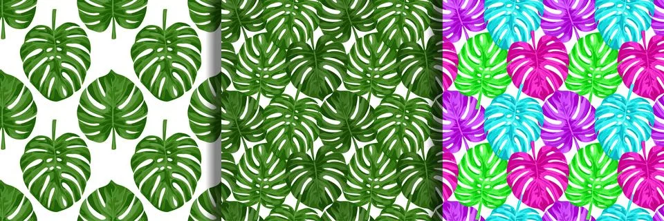 Monstera Seamless Patterns set Ilustração Stock