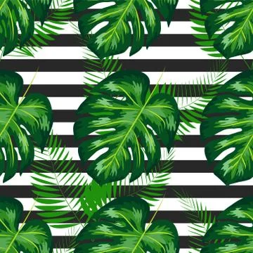 Monstera seamless striped pattern. Summer tropical design. Stock Illustration
