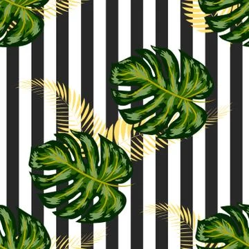Monstera seamless striped pattern. Summer tropical design. Stock Illustration